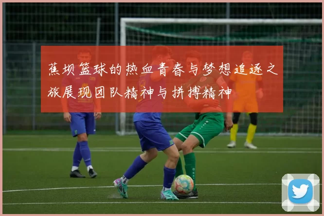 蕉坝篮球的热血青春与梦想追逐之旅展现团队精神与拼搏精神