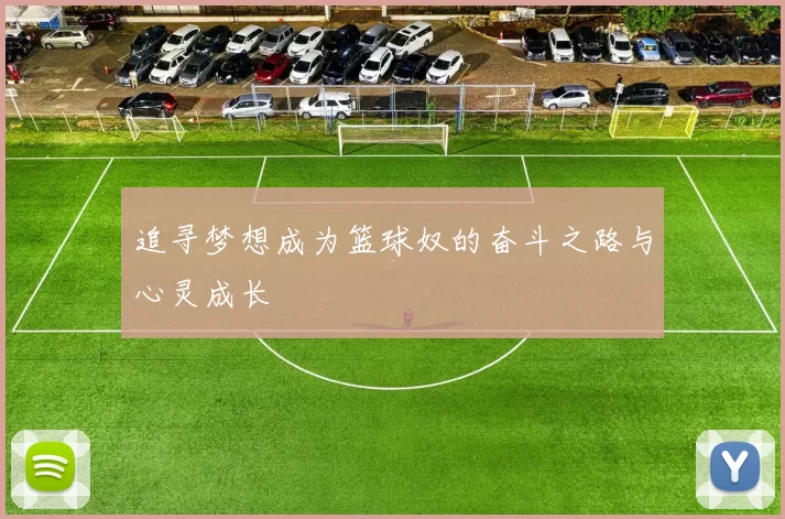 追寻梦想成为篮球奴的奋斗之路与心灵成长